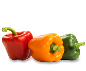 Paprika